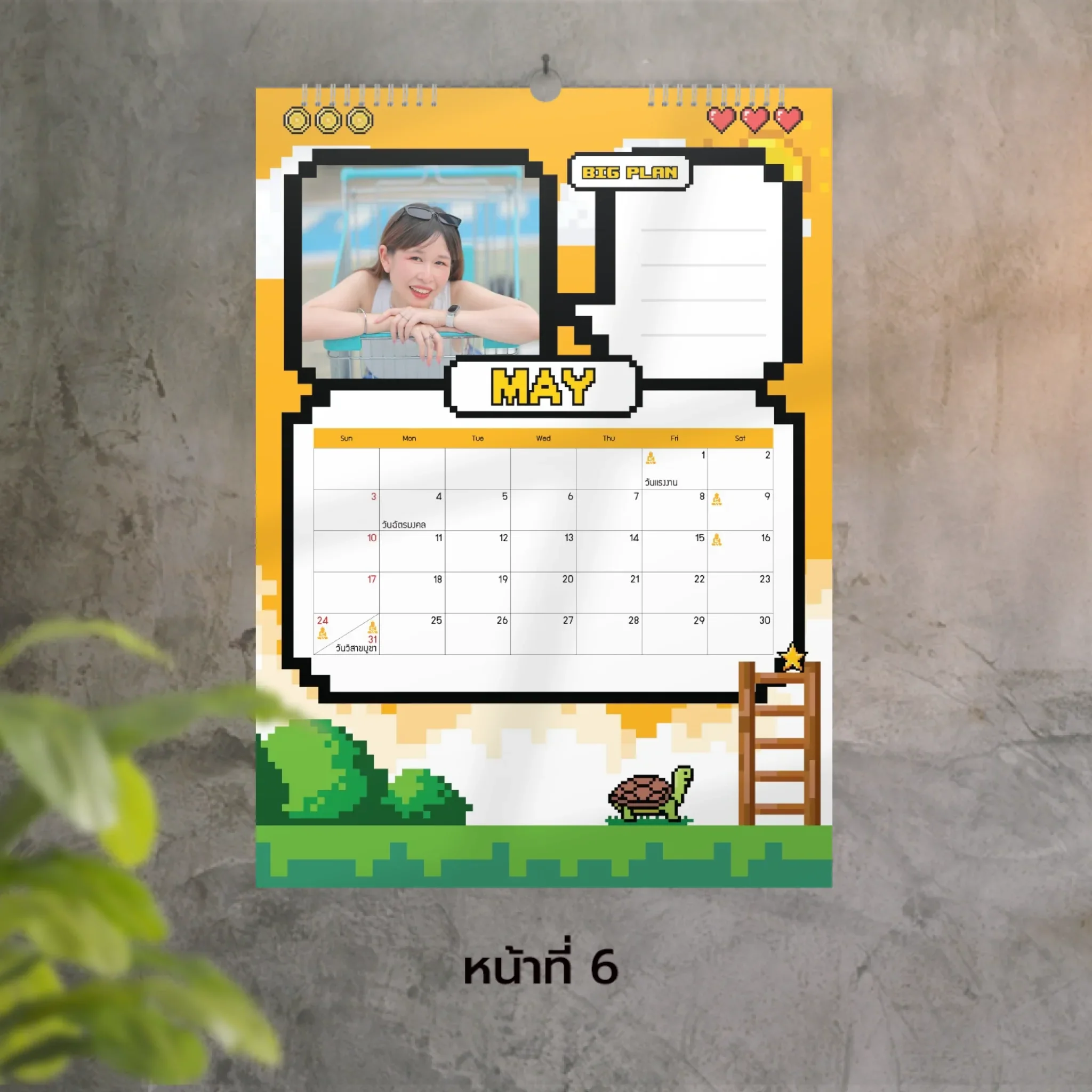 Thumbnail 6