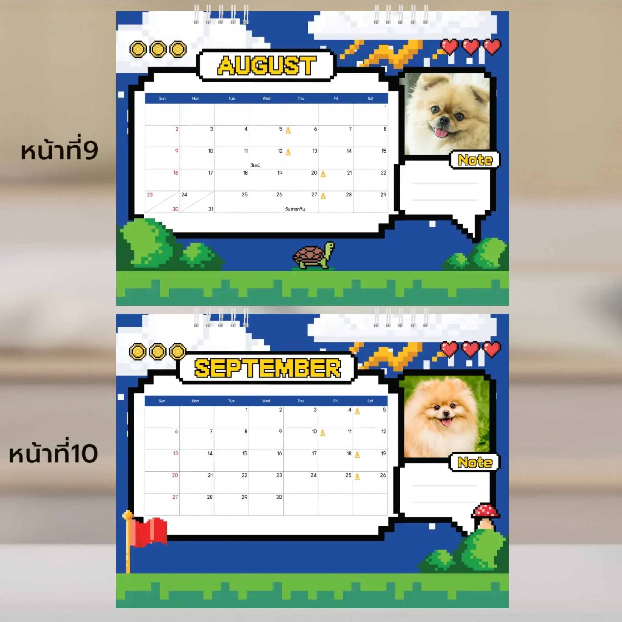 Thumbnail 6