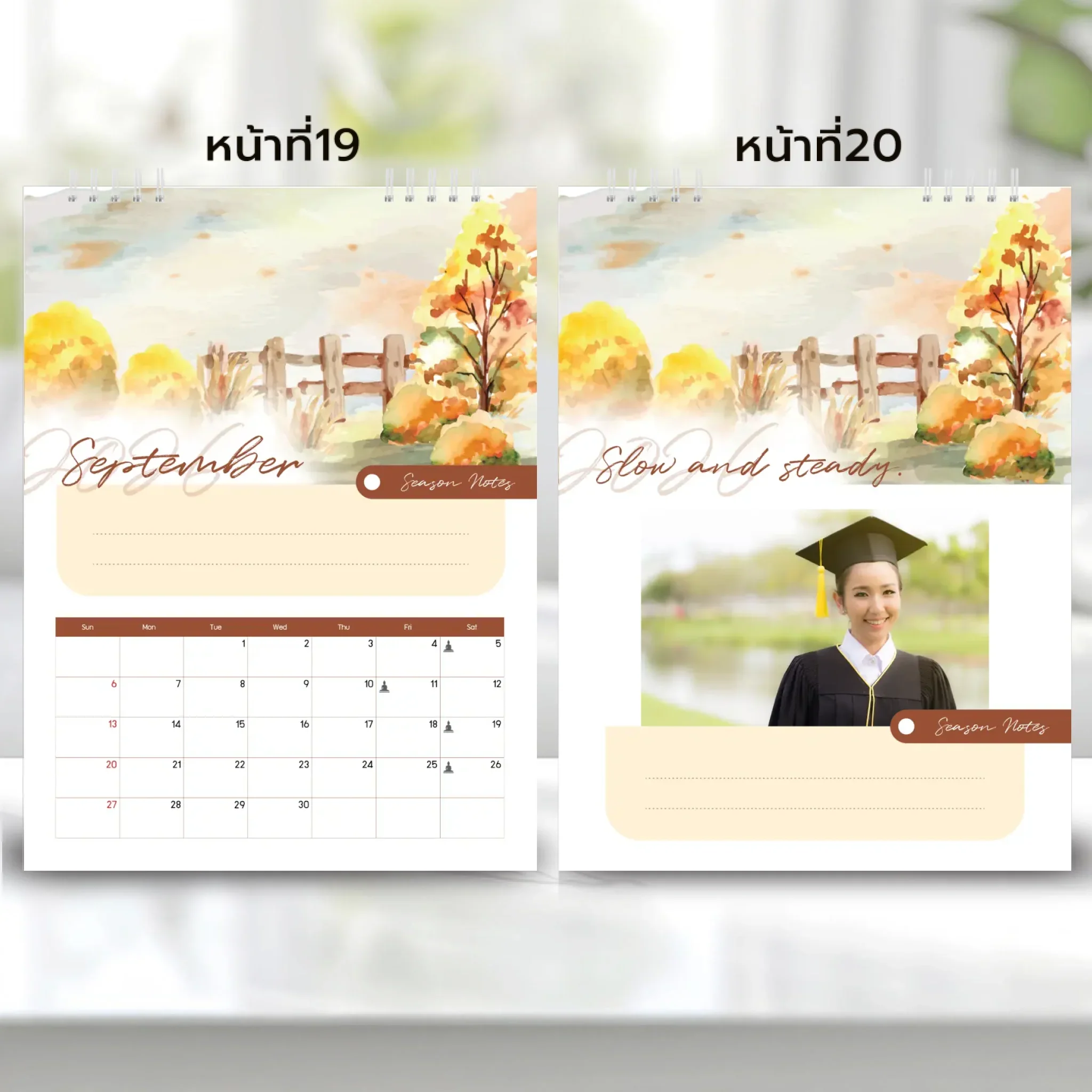 Thumbnail 11